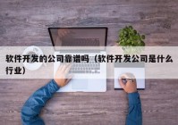 软件开发的公司靠谱吗（软件开发公司是什么行业）