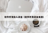 软件开发投入资金（软件开发资金来源）